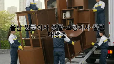 울산 원룸이사? 용달 소형이사 꿀팁 대방출!