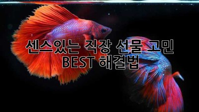 🎁 센스있는 직장 선물 고민? BEST 해결법! 🤩